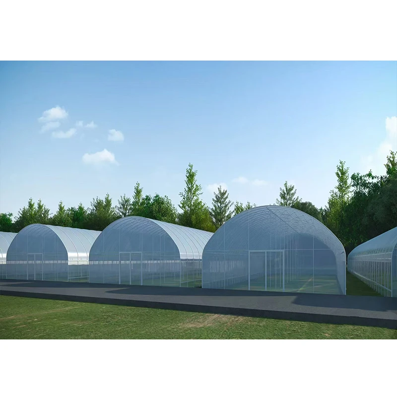# l Low Cost Farm Singlespan G - Organic Farming In Agriculture のレビューと価格