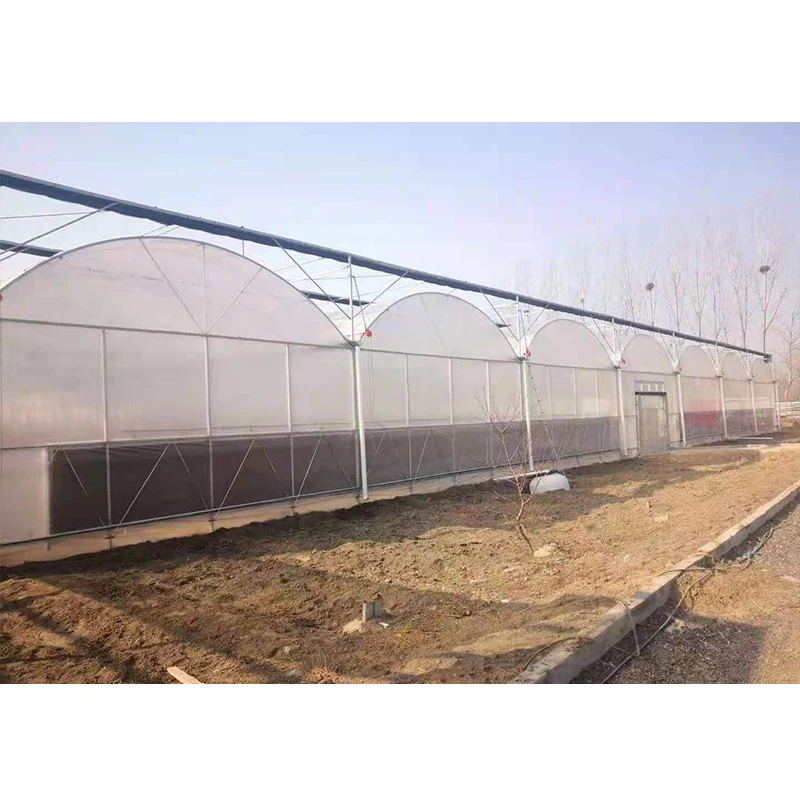 # l Low Cost Farm Singlespan G - Organic Farming In Agriculture のレビューと価格