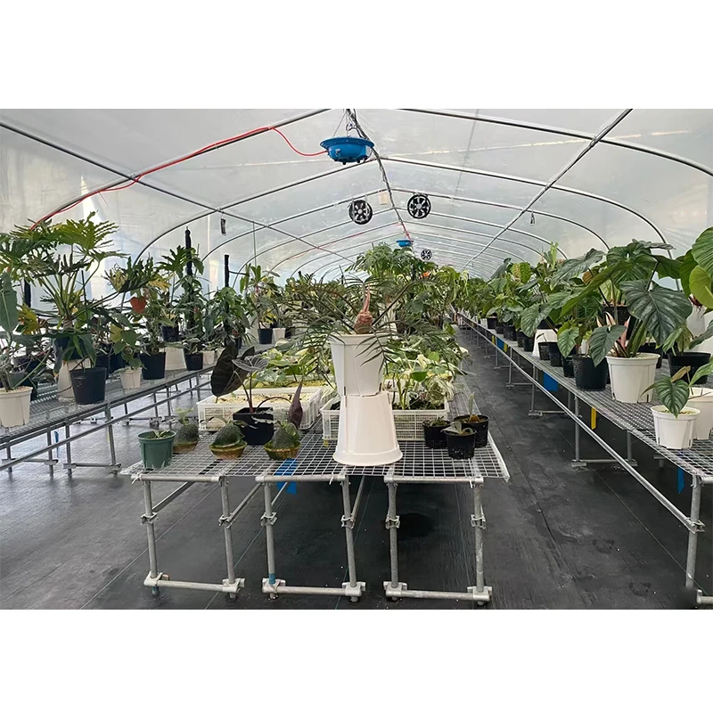 # l Low Cost Farm Singlespan G - Organic Farming In Agriculture のレビューと価格
