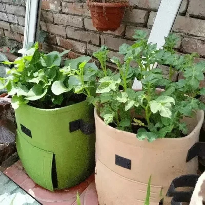 3Styles Felt plant grow bags n - Agriculture Vertical Farming のレビューと価格
