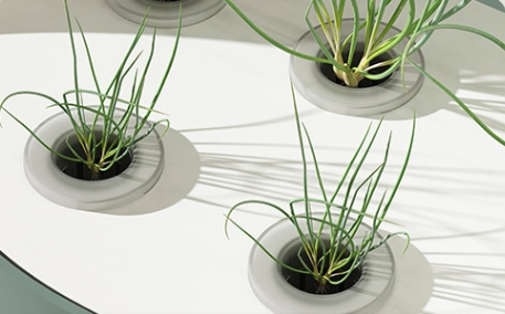 China Quality Agricultural Int - Agriculture Vertical Farming のレビューと価格