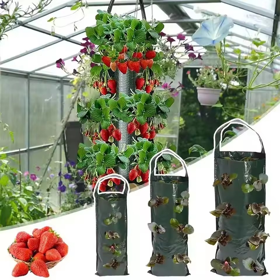 4/6/8/10 Holes Hanging Strawbe - Agriculture Vertical Farming のレビューと価格