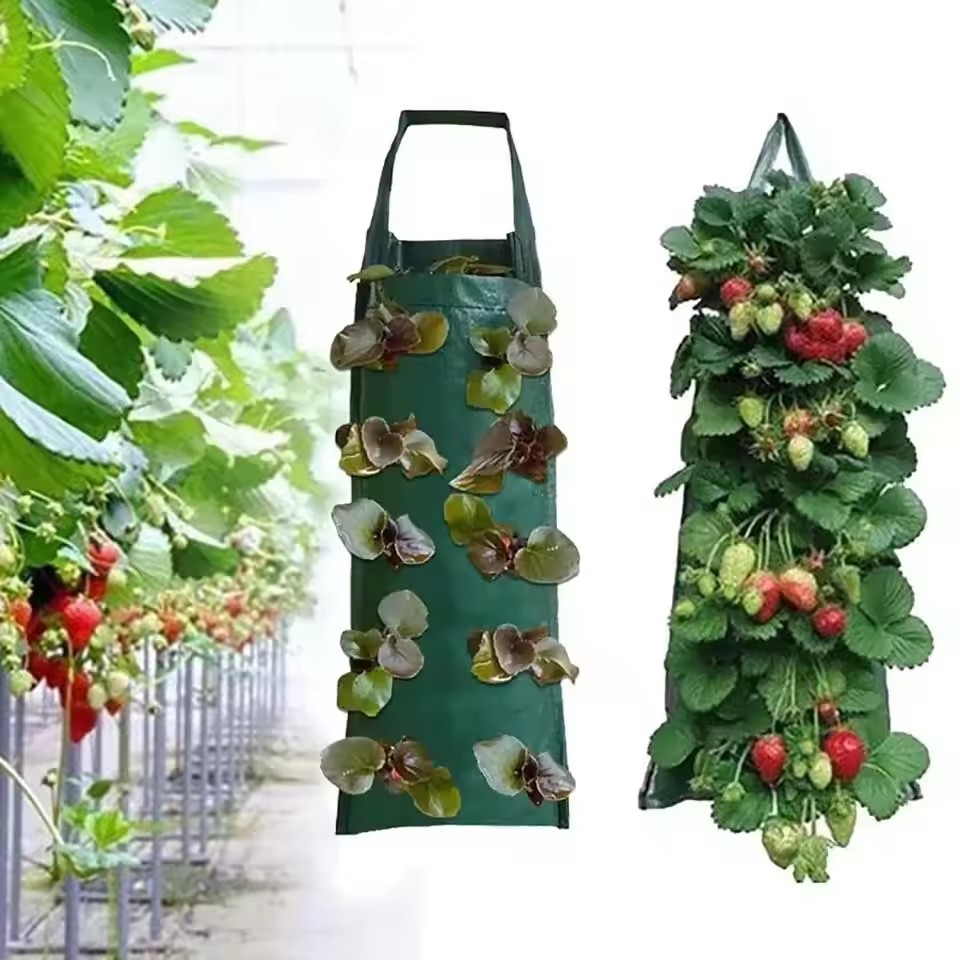 4/6/8/10 Holes Hanging Strawbe - Agriculture Vertical Farming のレビューと価格