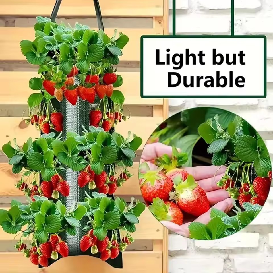 4/6/8/10 Holes Hanging Strawbe - Agriculture Vertical Farming のレビューと価格