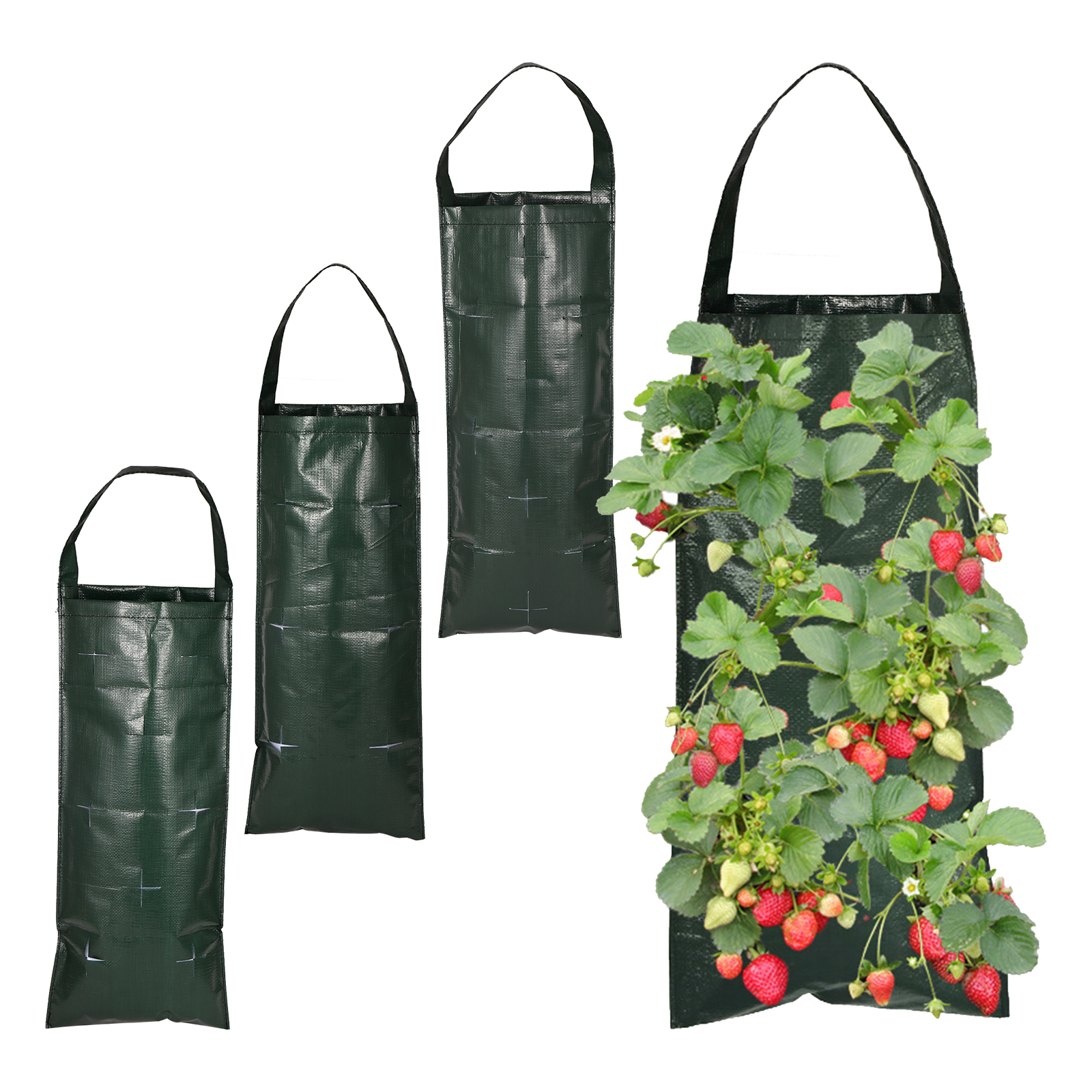 6/8/10 Holes Hanging Strawberr - Agriculture Vertical Farming のレビューと価格