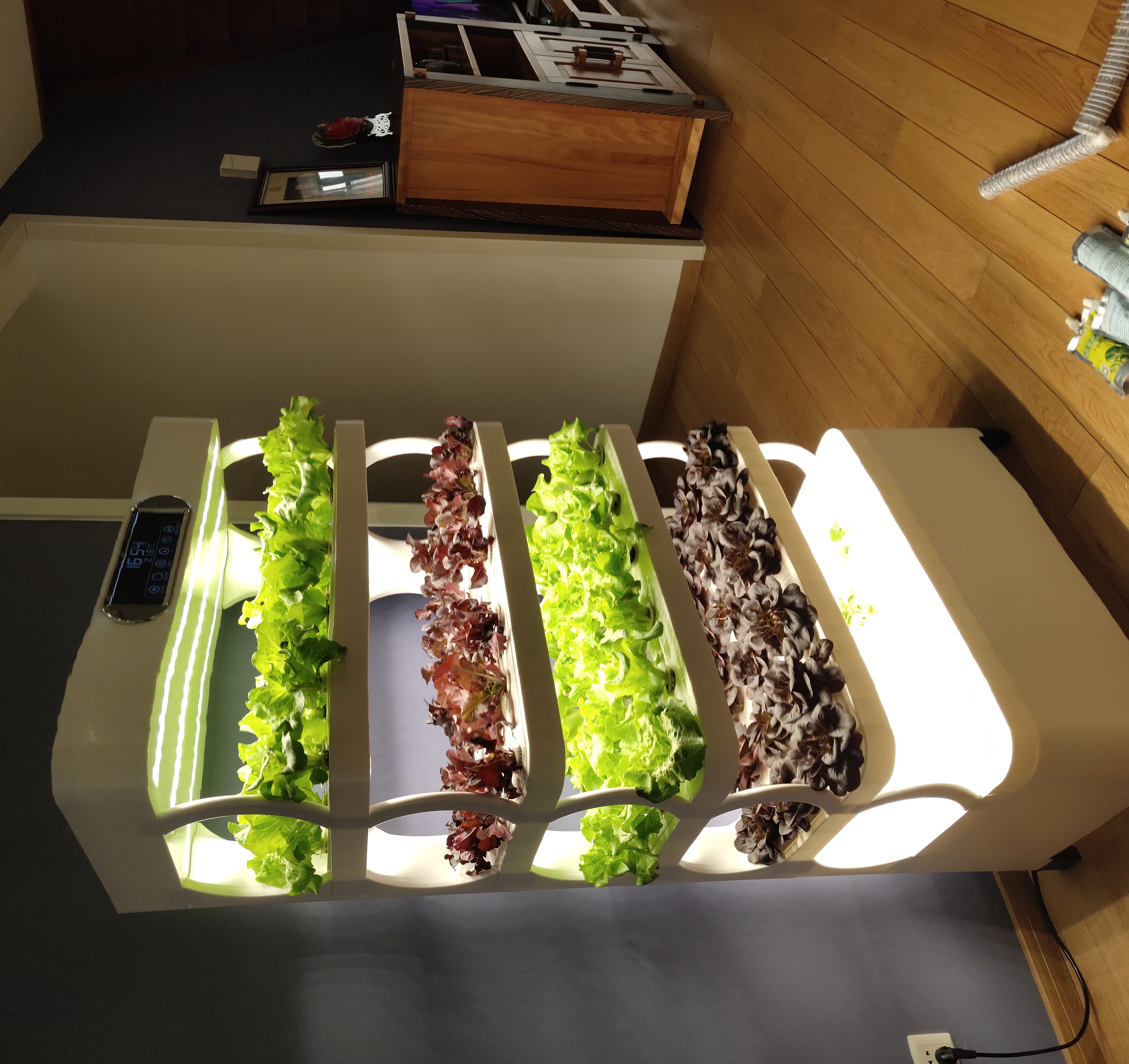 c Agriculture Machine to Growi - Agriculture Vertical Farming のレビューと価格
