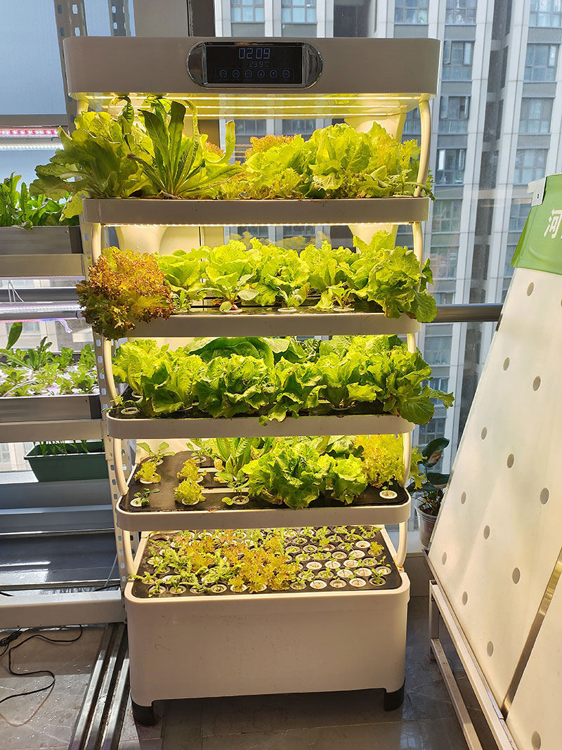c Agriculture Machine to Growi - Agriculture Vertical Farming のレビューと価格