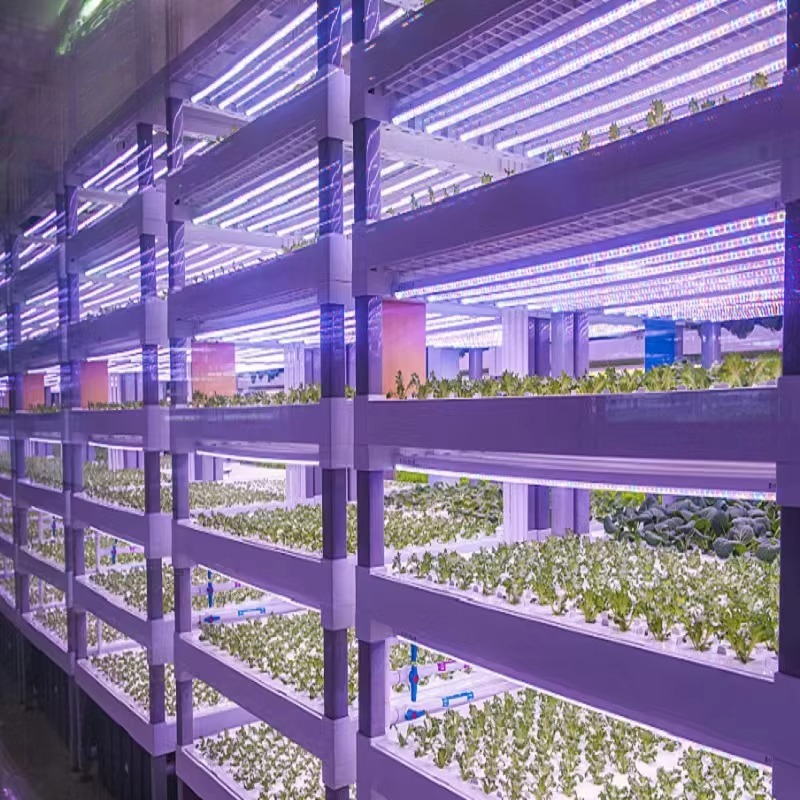 Custom Agricultural Greenhouse - Agriculture Vertical Farming のレビューと価格
