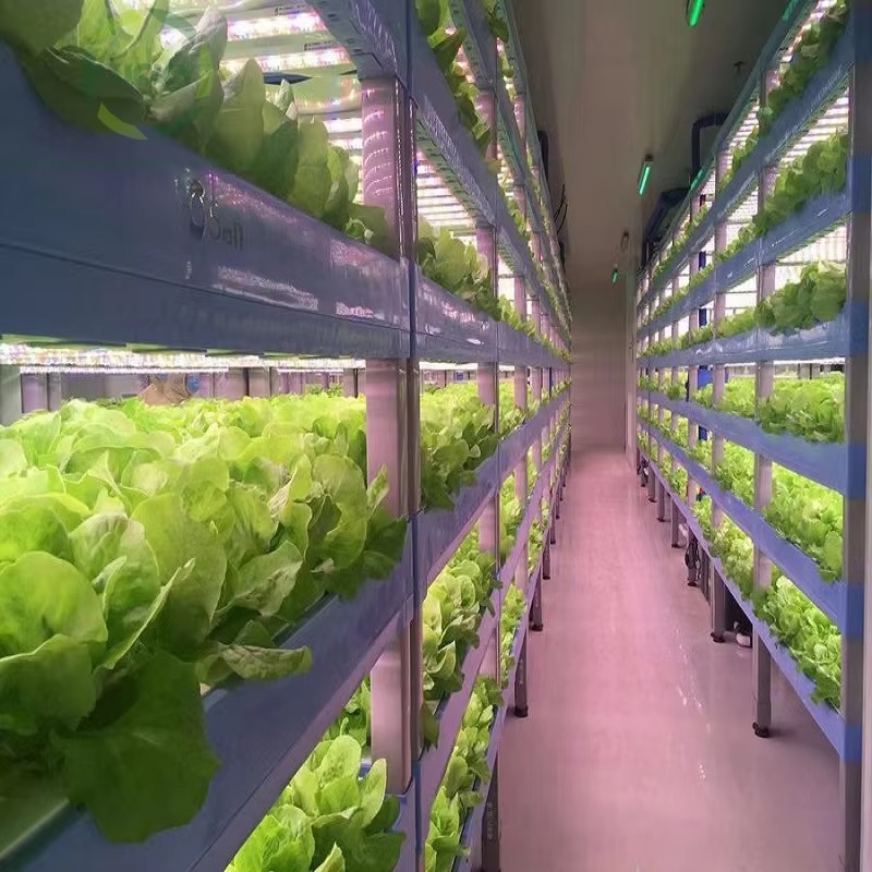 Custom Agricultural Greenhouse - Agriculture Vertical Farming のレビューと価格