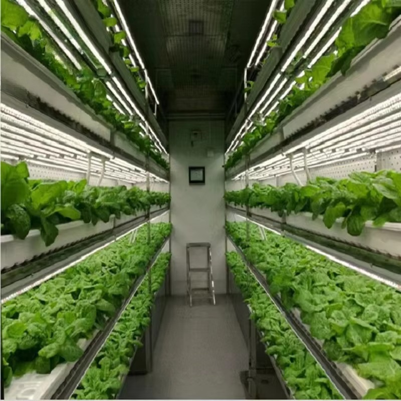 Custom Agricultural Greenhouse - Agriculture Vertical Farming のレビューと価格