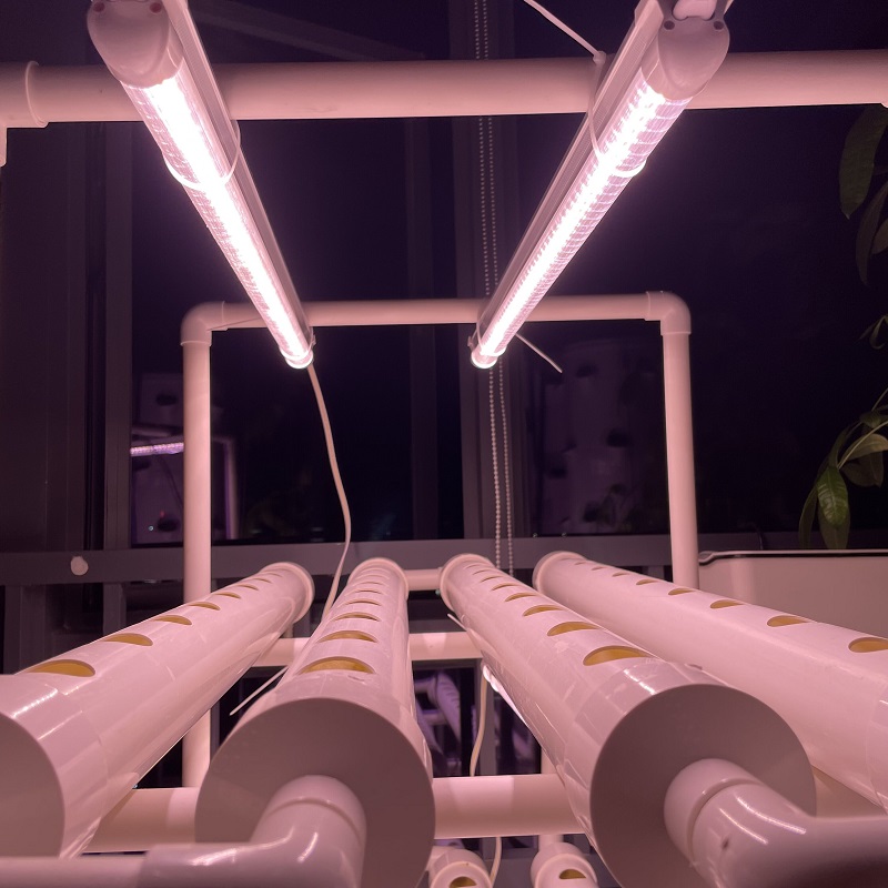 Vertical Hydroponics Growing S - Agriculture Vertical Farming のレビューと価格