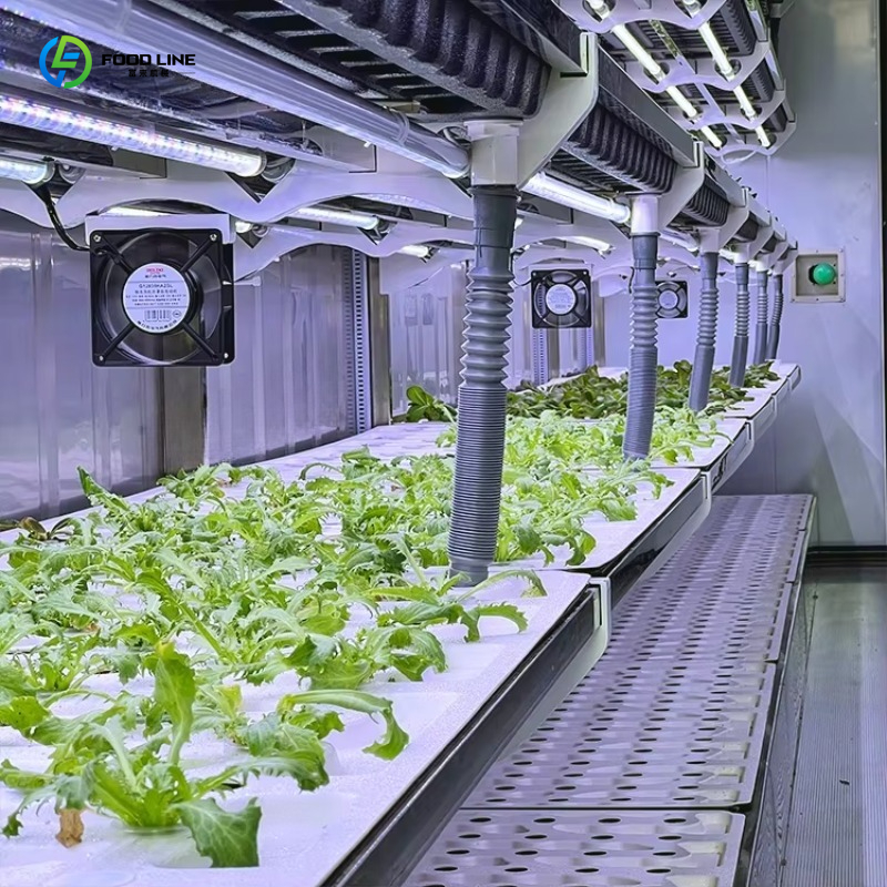 Customized Custom Container Fa - Organic Farming In Agriculture のレビューと価格