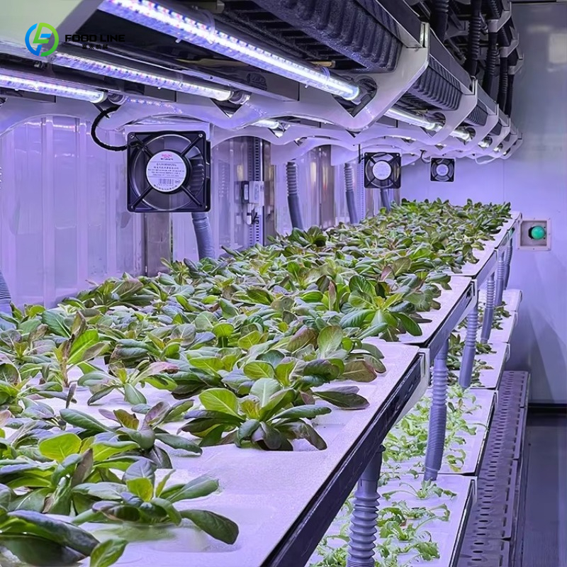 Customized Custom Container Fa - Organic Farming In Agriculture のレビューと価格