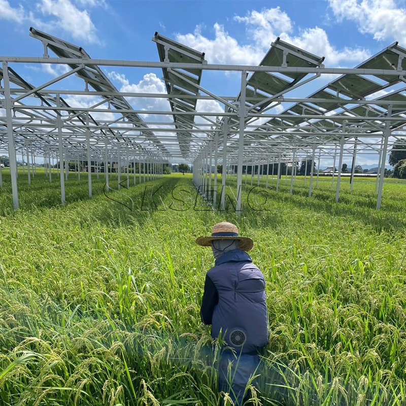 Japan`s New Agriculture Alumin - Agriculture Farming News のレビューと価格